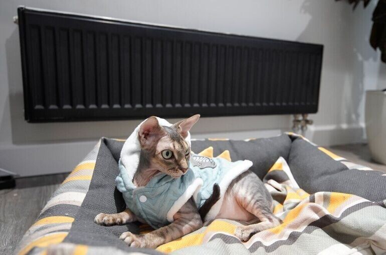    Александр Авилов/Агентство «Москва»