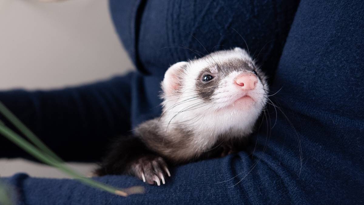    Фото: Shutterstock