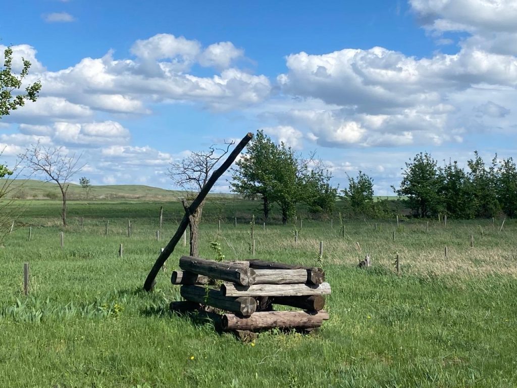    Фото: Е. Богачева. Газета "Земля"