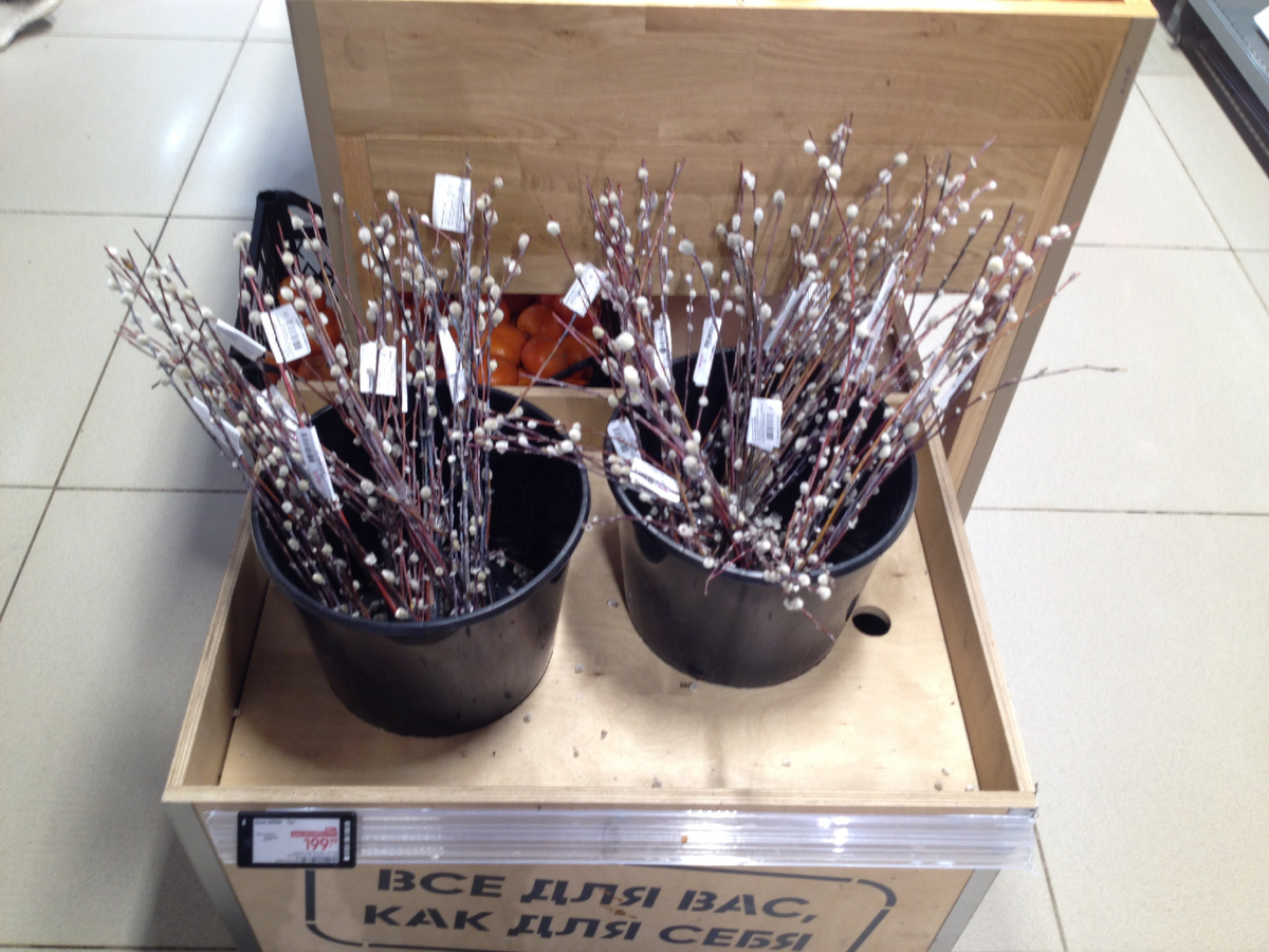 В магазинах уже можно купить букетики из вербы