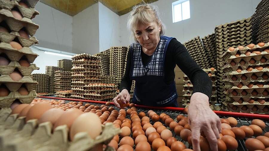    Фото: ИЗВЕСТИЯ/Эдуард Корниенко