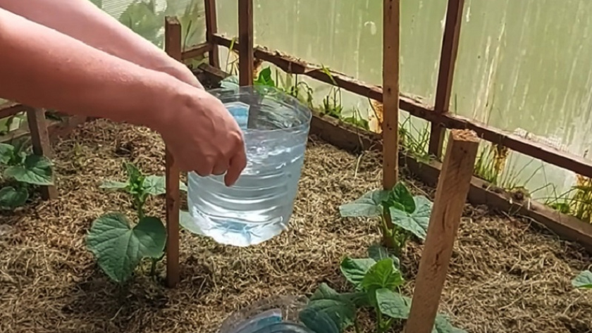    канал " Наш уютный дом"