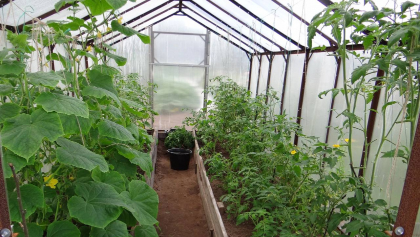    Фото из архива редакции