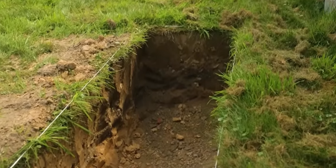 Как правильно посадить голубику