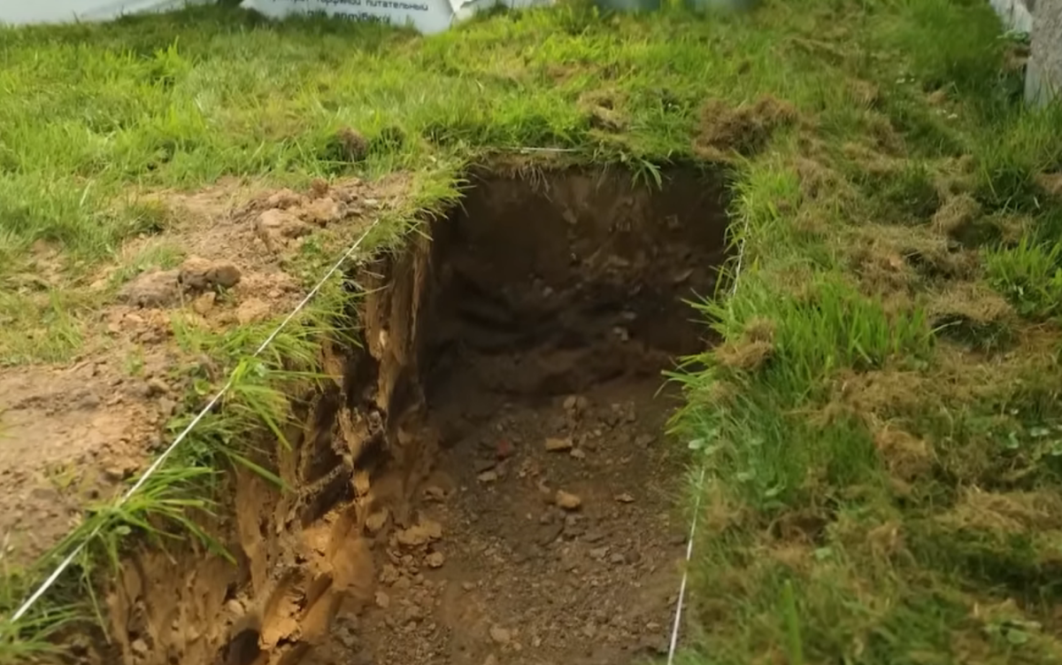 Траншея (глубина 50–60 см, ширина 70 см). Это правильно, так как корни голубики поверхностные и мочковатые.