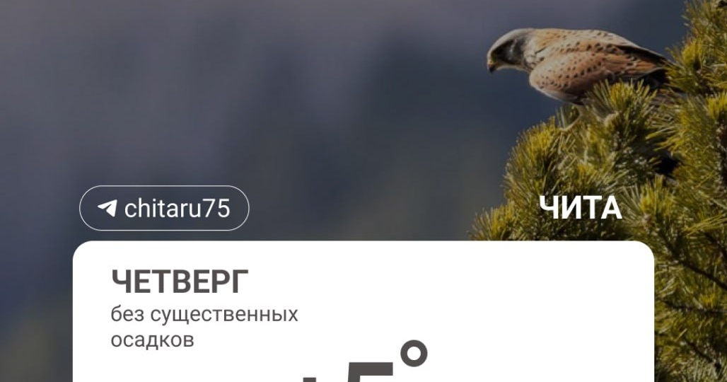 📌📌📌 днём