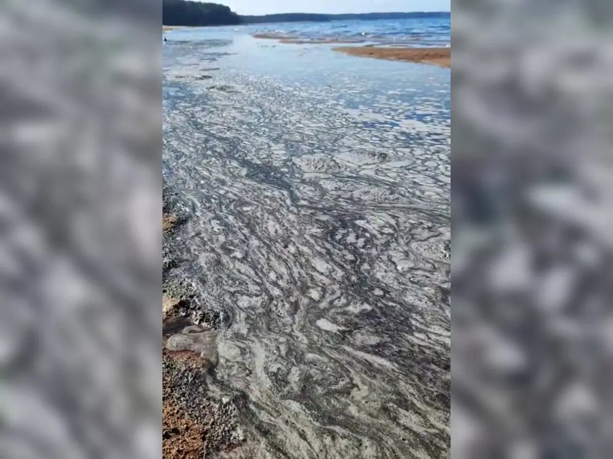    Фото: стоп-кадр видео из телеграм-канала BL Сосновый Бор