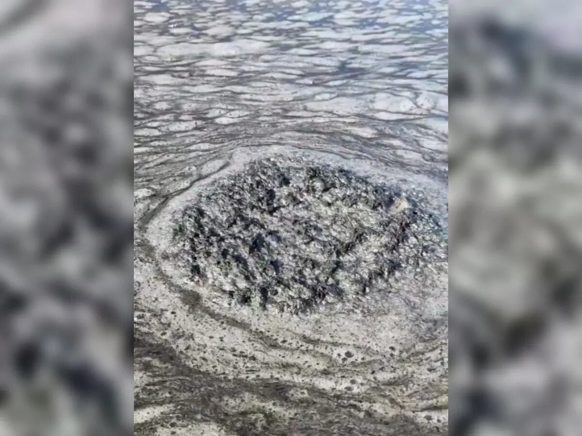    Фото: стоп-кадр видео из телеграм-канала BL Сосновый Бор