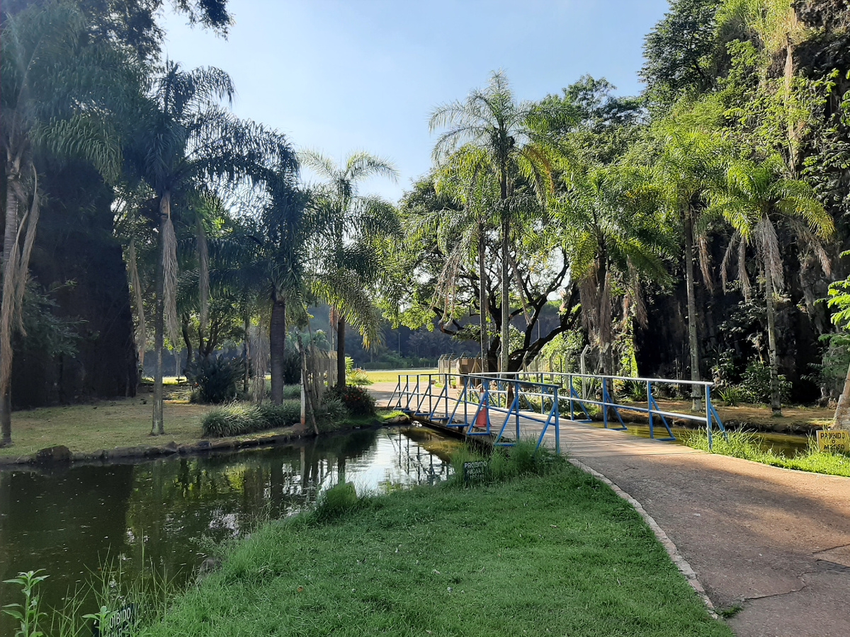 Город Кампинас.