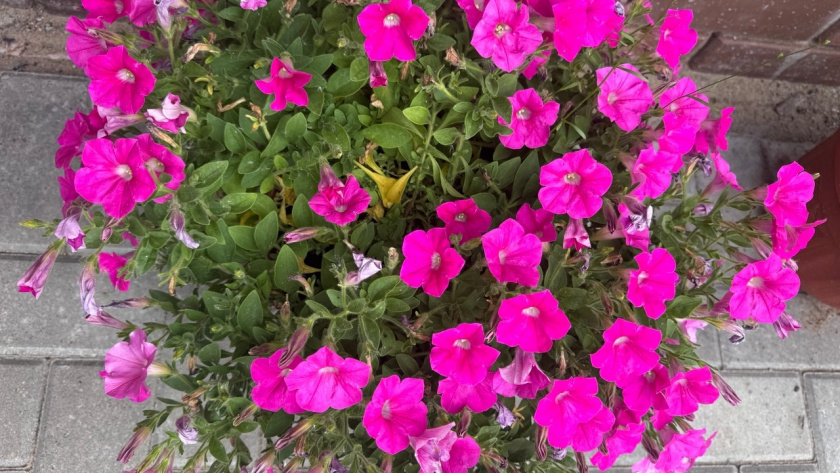    Фото из архива редакции