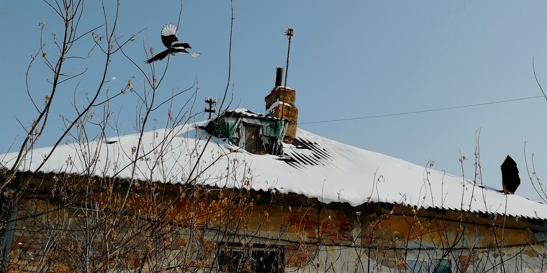 Сорочьи песни