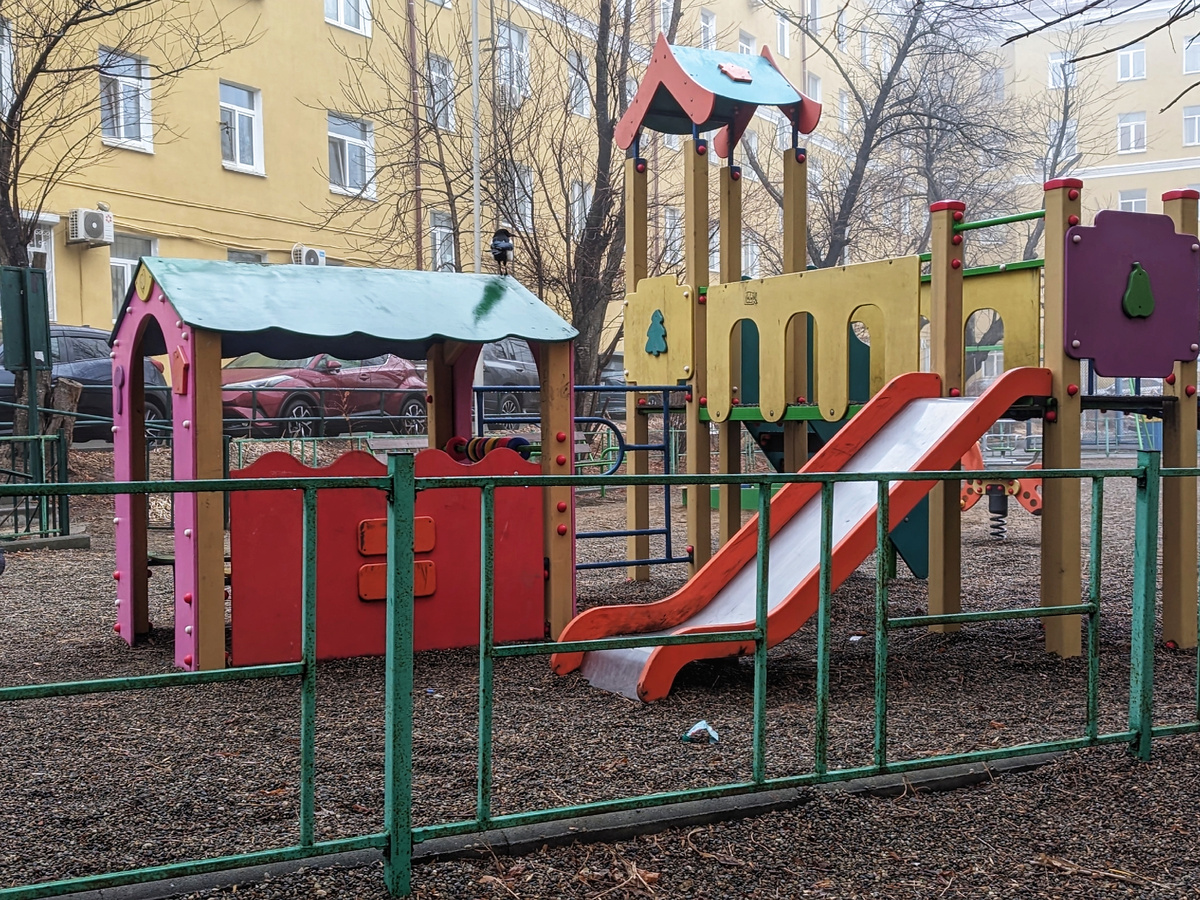 Сорока на детской площадке наблюдает за голубями вдалеке. 