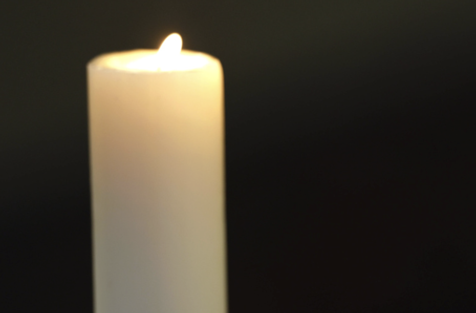    IMAGO/Pascal Deloche/Godong/Global Look Press