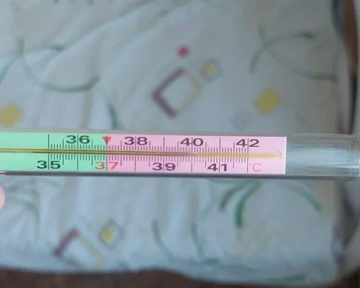 Фото ИА «Камчатка»