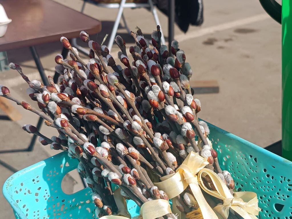     Вербы. Вербное воскресенье.редакция "БР"