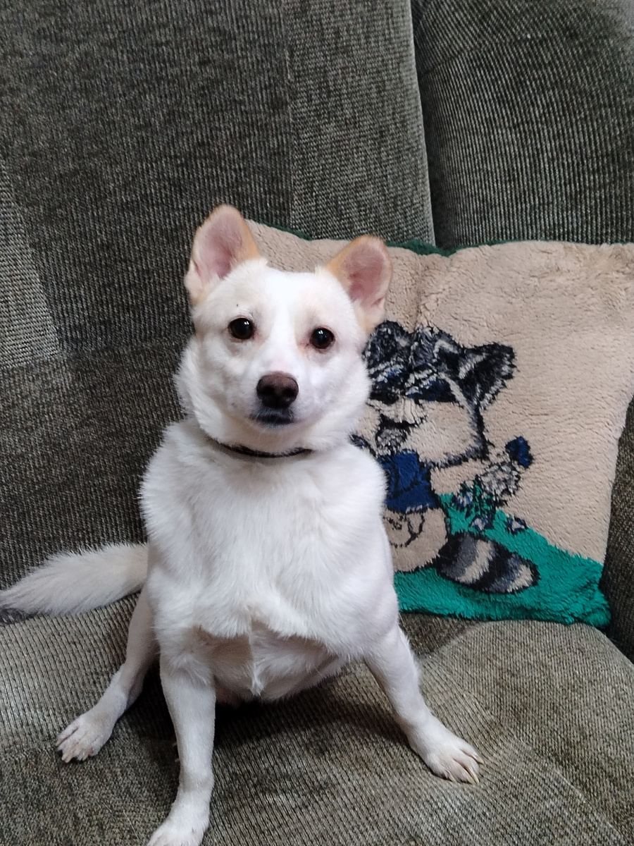 Привет от Бени. Фото автора