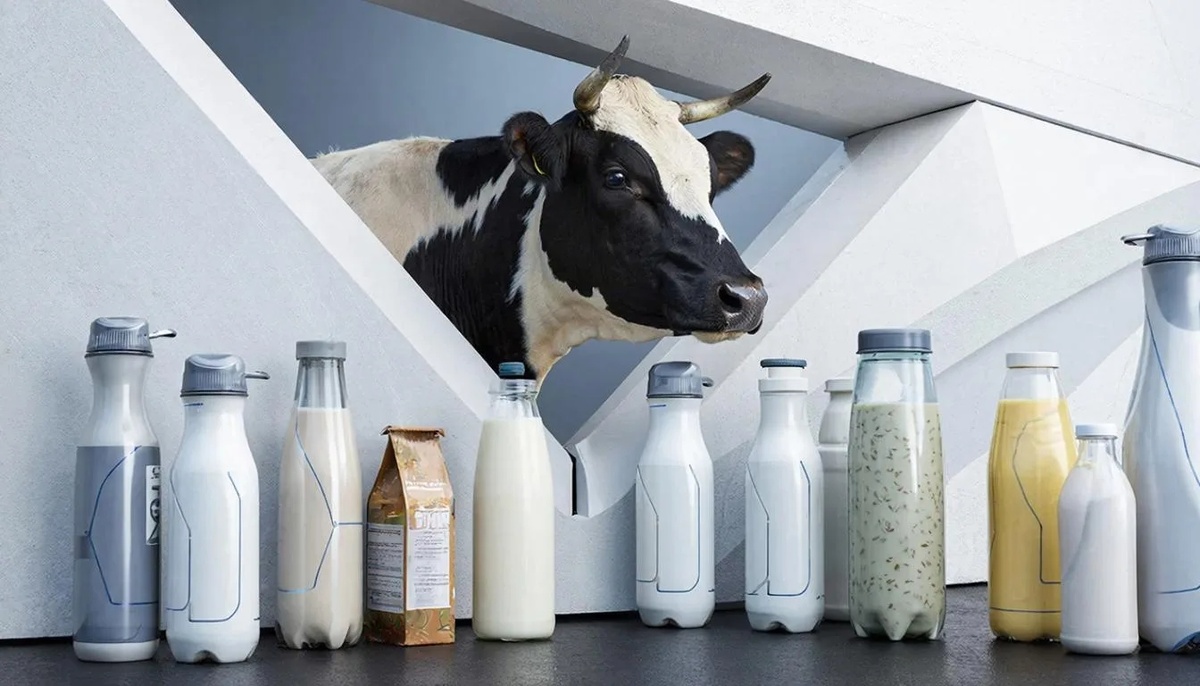 Аллерголог-иммунолог Масальский С.С.