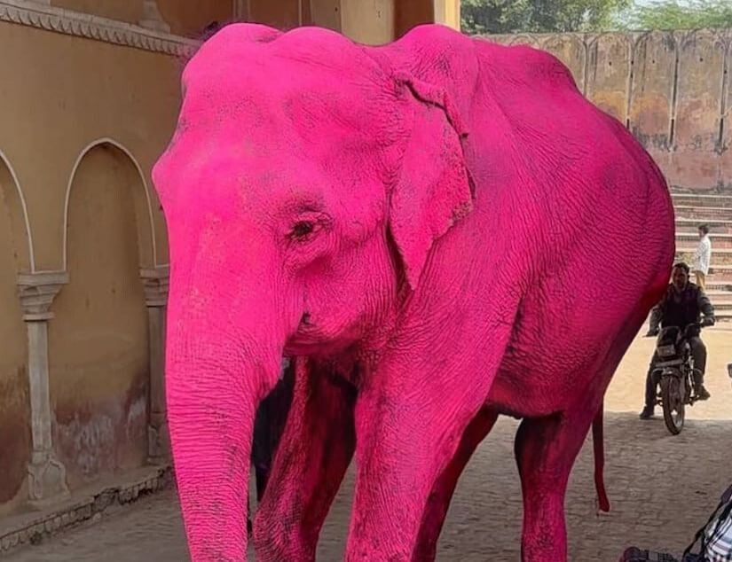     / Источник: Кадр из видео