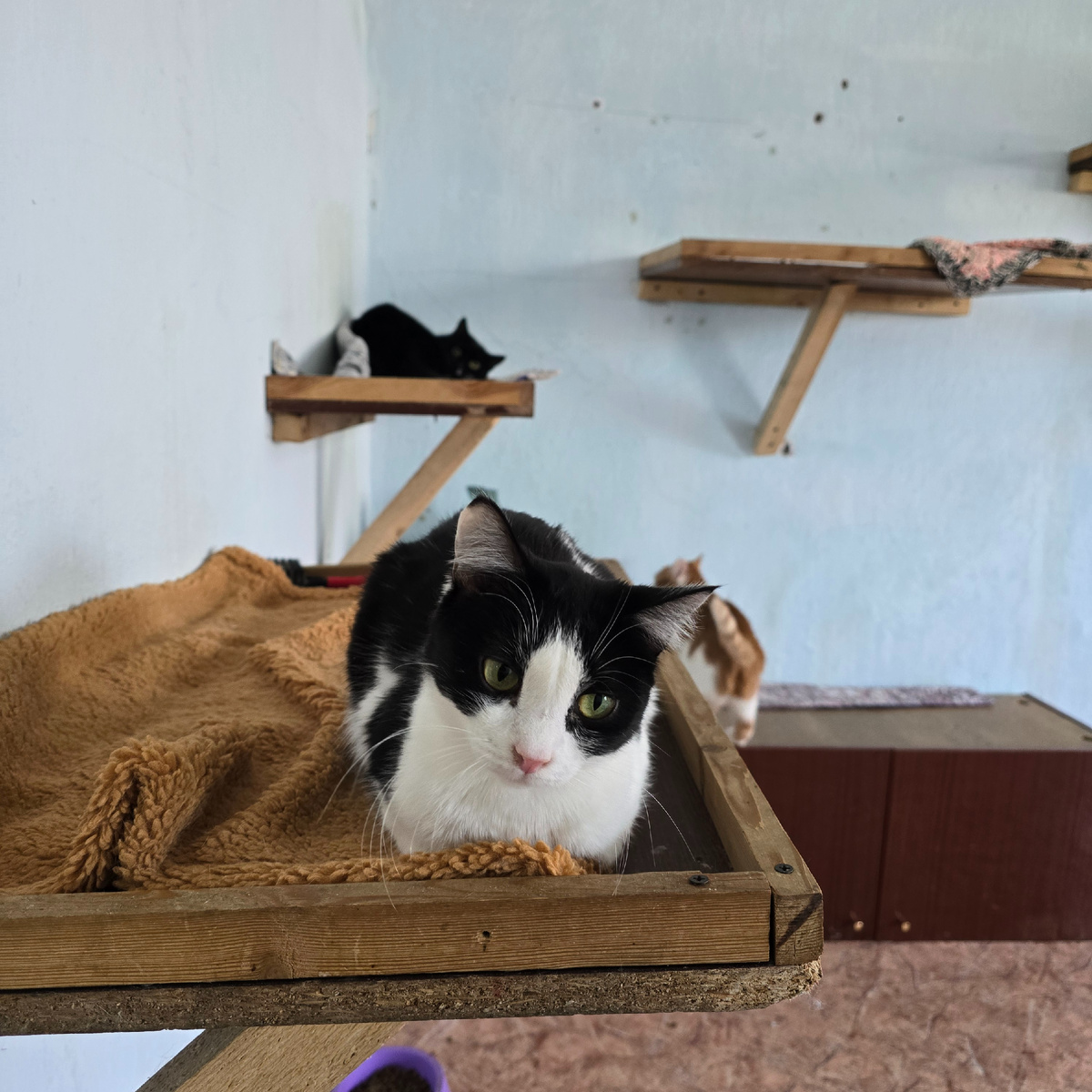 Сенди наблюдает с любопытными глазами