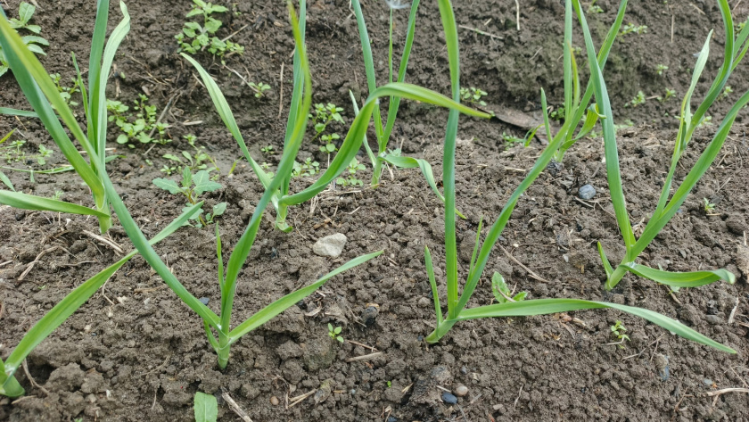    фото smilekaluga.ru