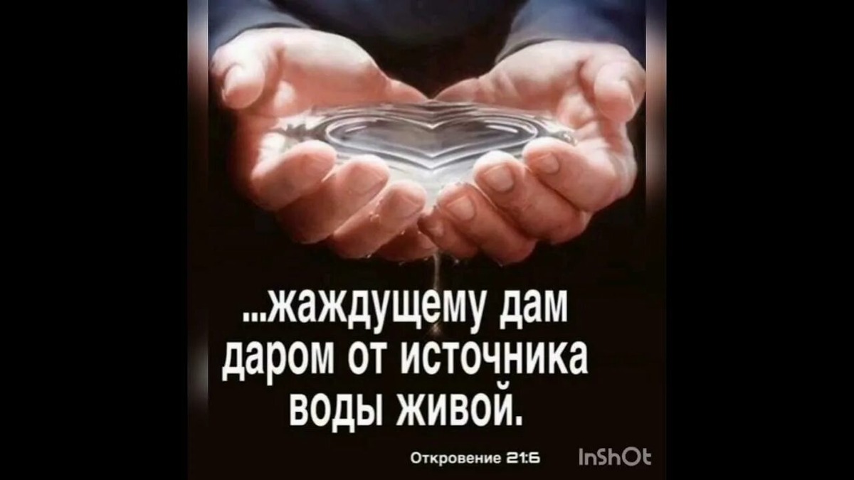 Из открытых источников Яндекса.