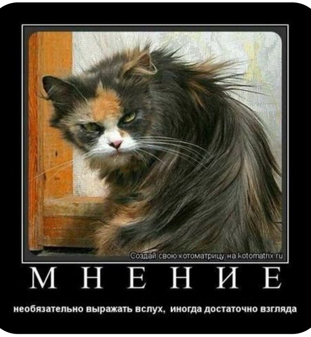 По характеру я очень трудный человек, но когда встречаешь прикидывающихся наивными, все знающих, так всегда делающих и т д и т п это кажеться мелочью жизни