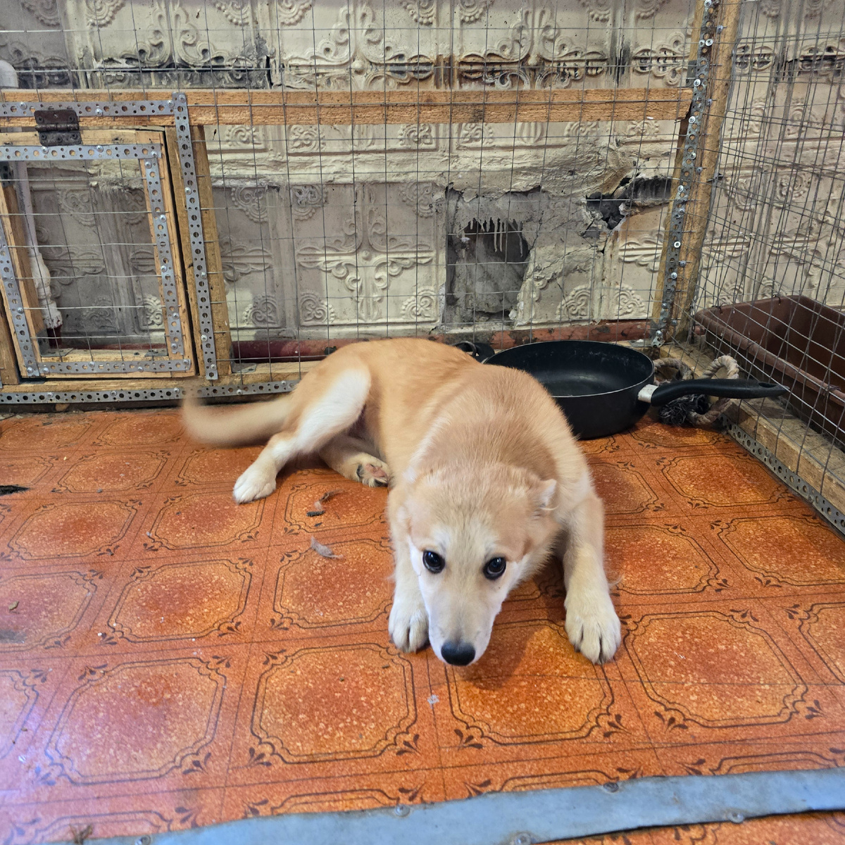 грустные глаза ищут любовь