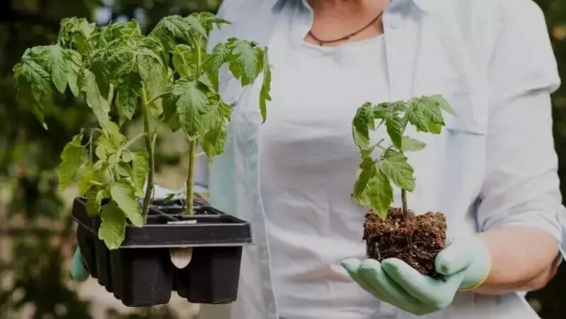     Фото: @freepik / ru.freepik.com