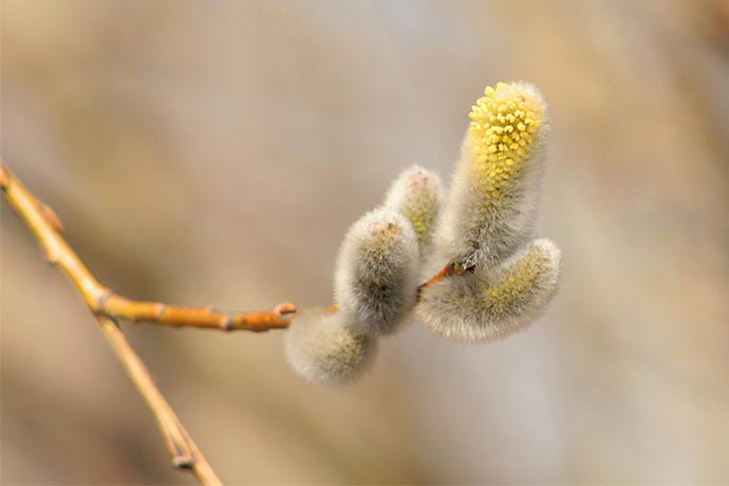   Фото Андрея Заржецкого