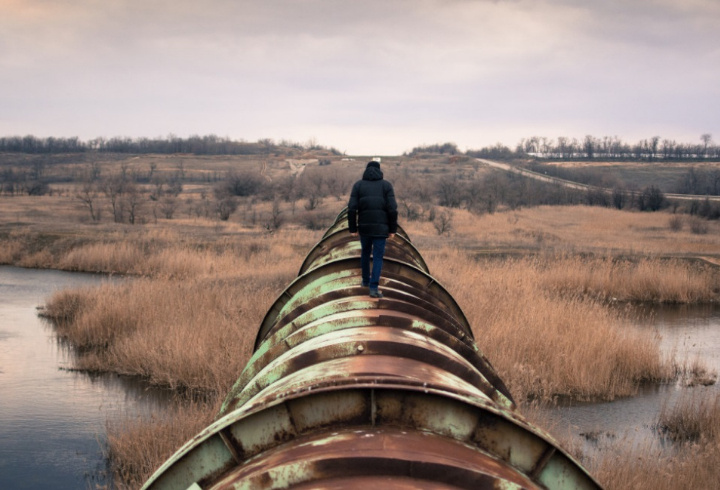 фото: pxhere.com