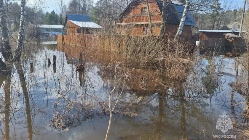   Фото: МЧС Владимирской области