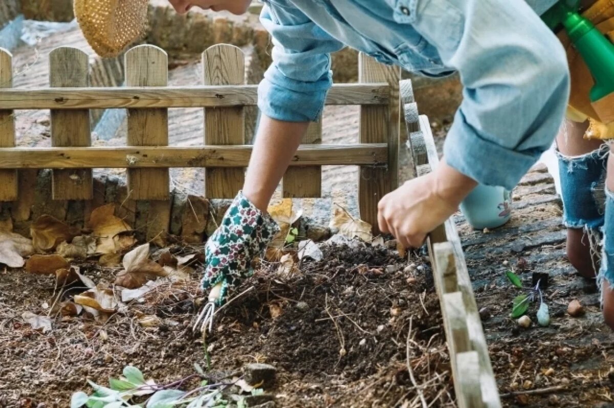    Можно сеять.