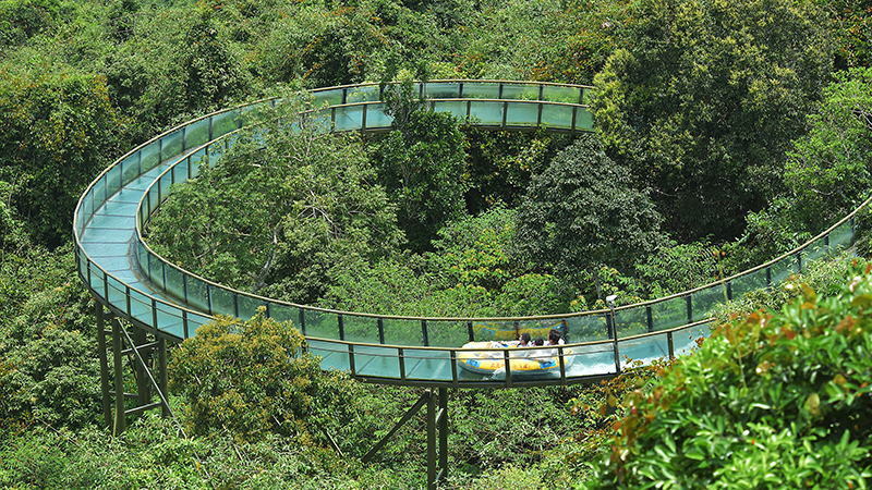 Лесной полёт на воде