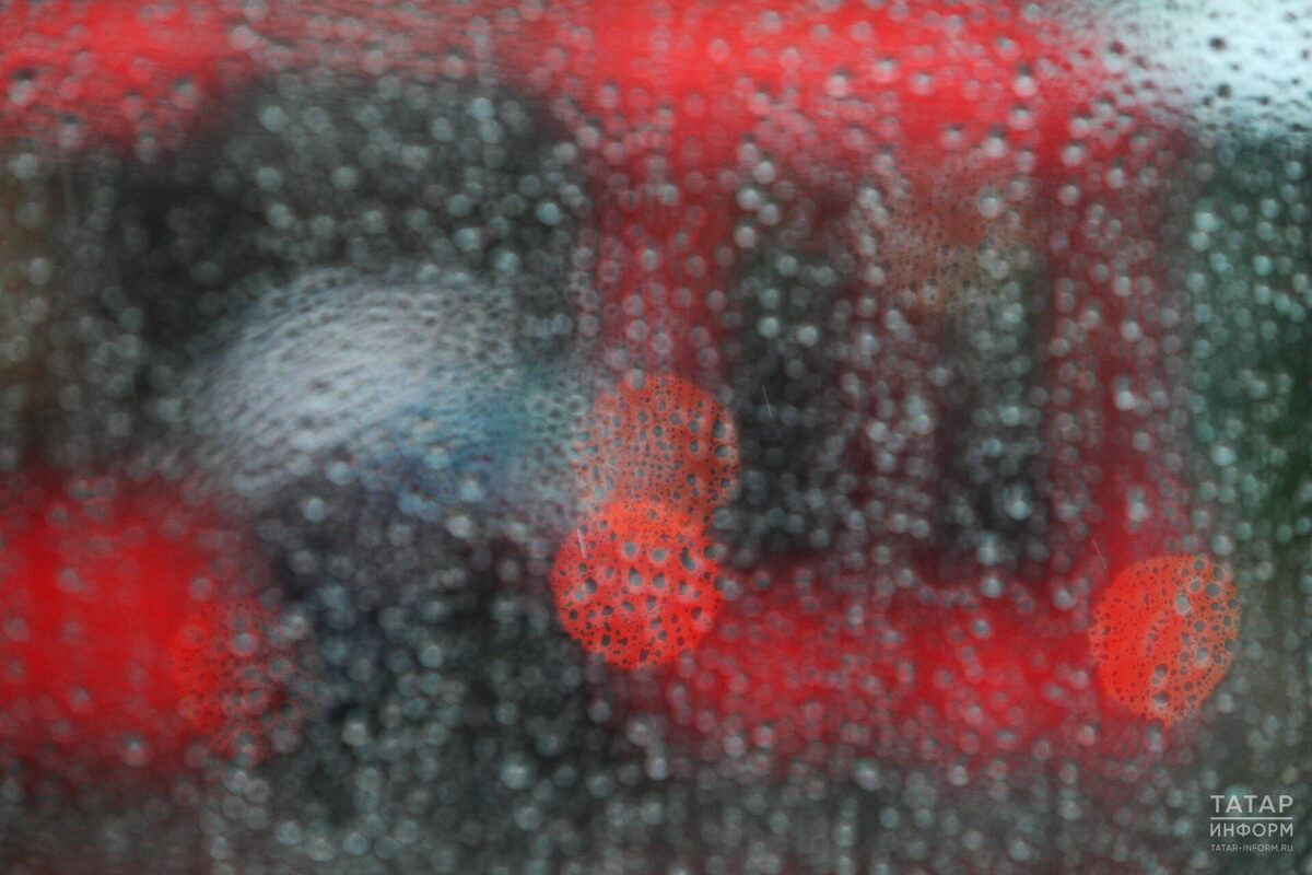 Фото: © Михаил Захаров / «Татар-информ»