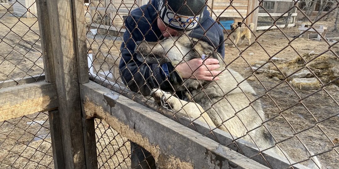 День Добра. Труженикам приюта посвящается.