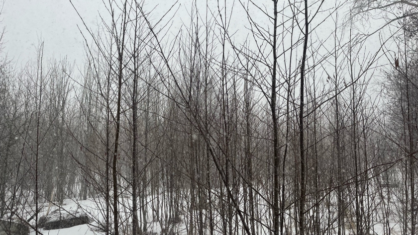    Фото из архива редакции