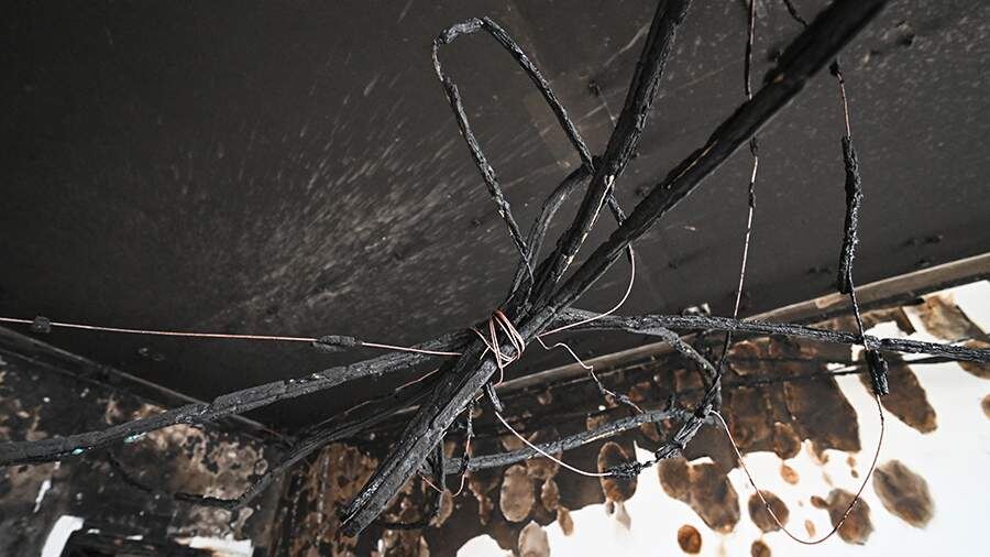    Фото: РИА Новости/Анатолий Карбинов