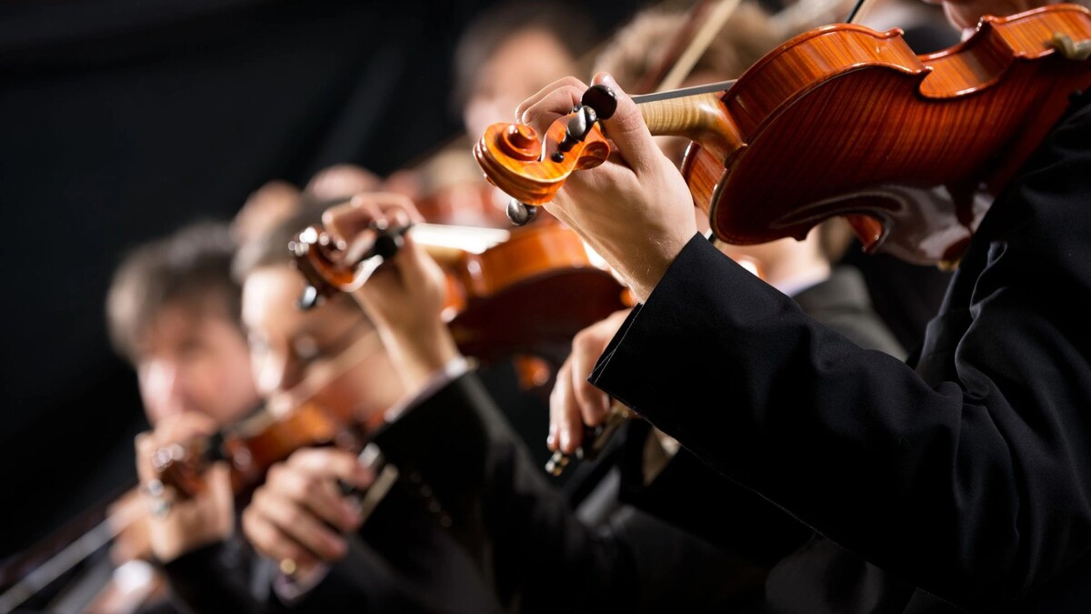    Фото: Stokkete/Shutterstock/Fotodom