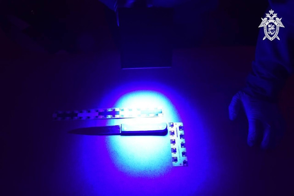    На ноже нашли следы крови убитого. Фото: СУ СК России по Амурской области