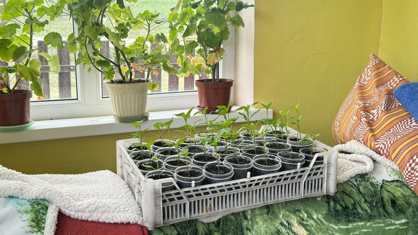    Фото: ПроГород