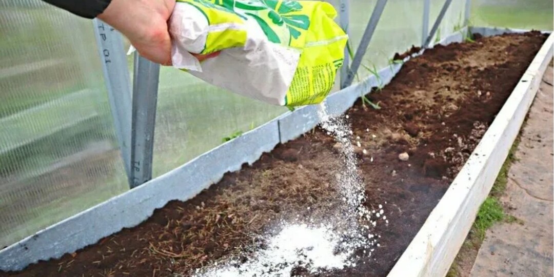 Какие удобрения внести в теплицу весной для богатого урожая овощей?!