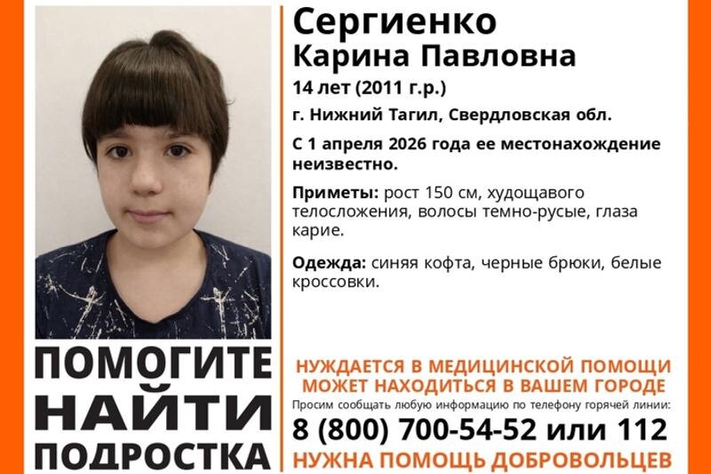    ВКонтакте/«ЛизаАлерт»