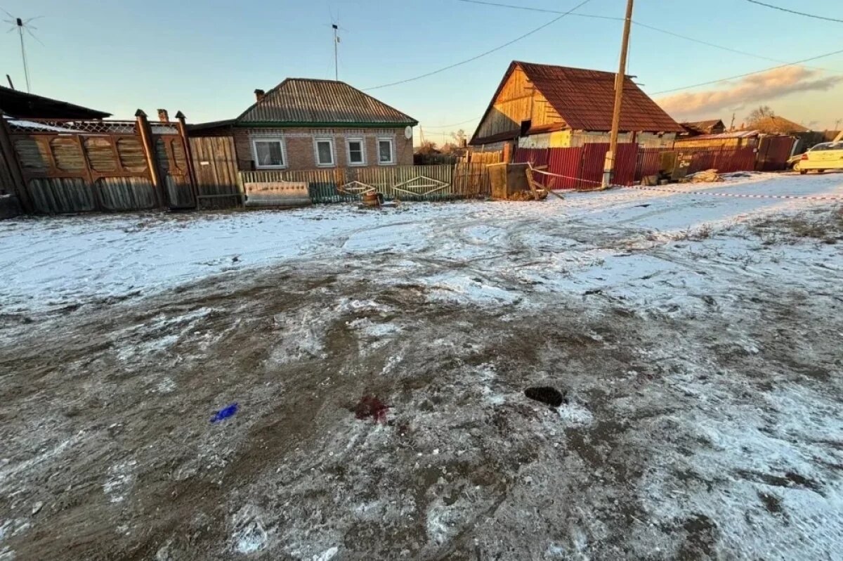    Хозяйку собаки в Хакасии осудят за нападение овчарки на ребёнка