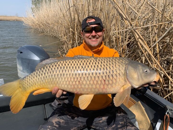 Вода прогревается, сазаны начинают активничать. Что будет с астраханской рыбалкой