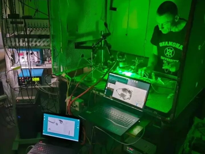 Новый бесконтактный метод исследования сосудов способен «увидеть» работу глубоких артерий мозга