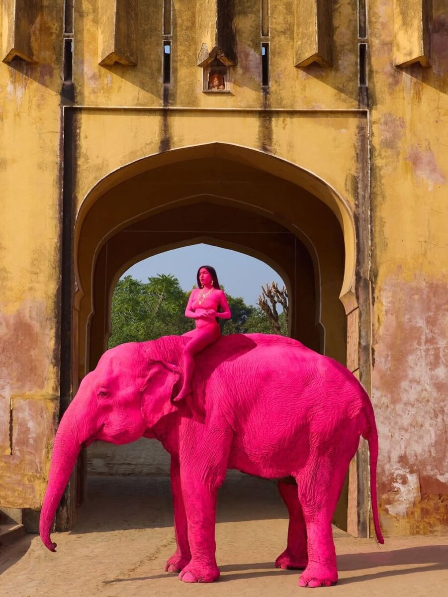    Фотосессия с розовым слоном. Источник: @julia.buruleva*