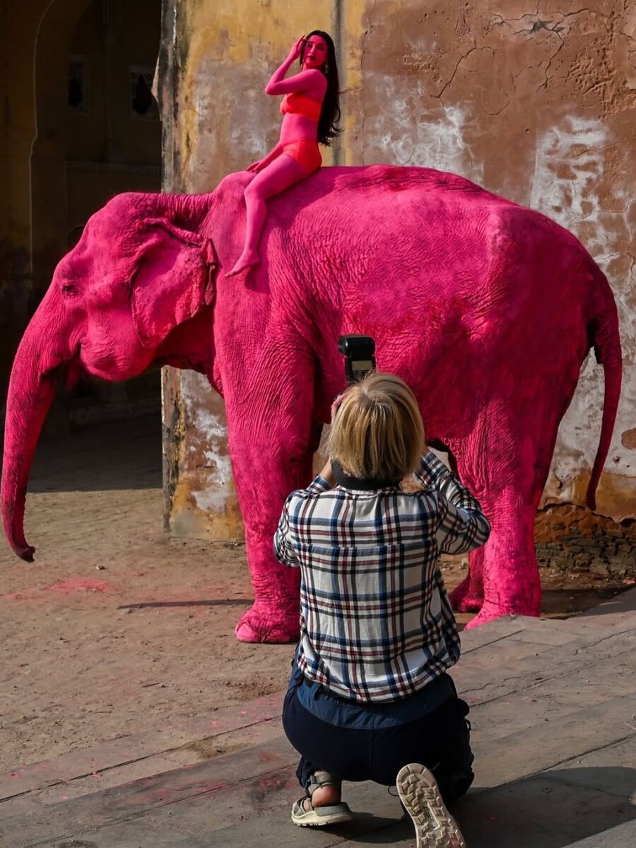    Фотосессия с розовым слоном. Источник: @julia.buruleva*