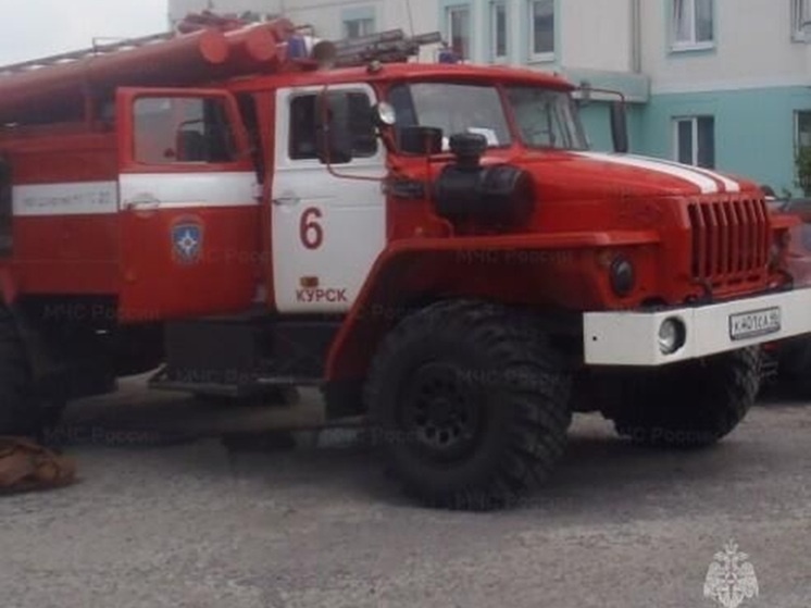     Фото: ГУ МЧС по Курской области
