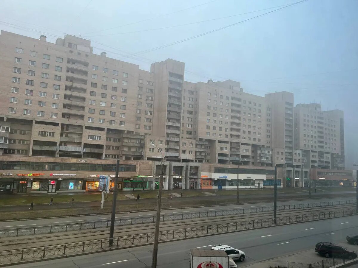    Проспект Просвещения утром 2 апреля. Фото: читательница Мойки78 Мария