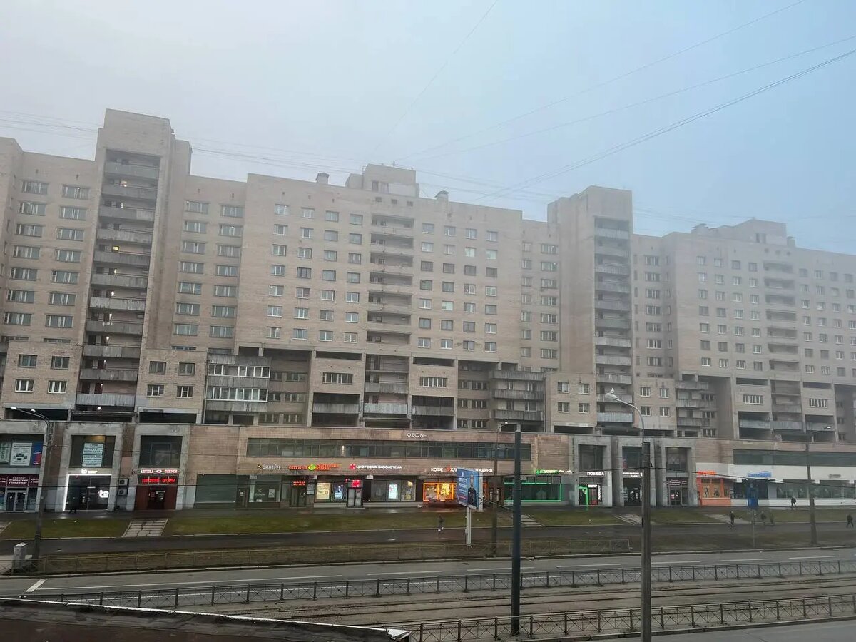    Проспект Просвещения утром 2 апреля. Фото: читательница Мойки78 Мария